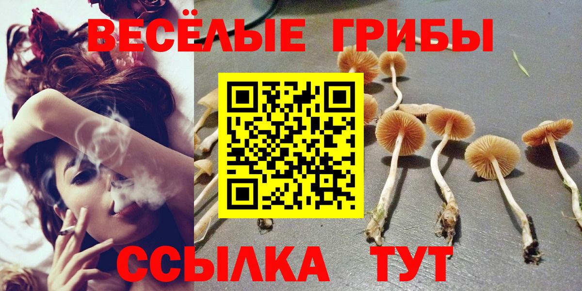 Галлюциногенные грибы прущие грибы Касимов