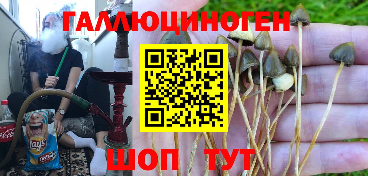 Галлюциногенные грибы Magic Shrooms  Галлюциногенные грибы мицелий  Вход с VPN  Касимов 